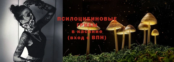 каннабис Баксан