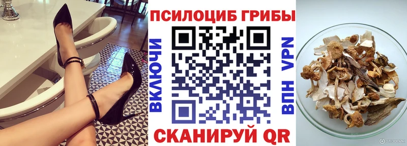 дарнет шоп  mega ССЫЛКА  Галлюциногенные грибы MAGIC MUSHROOMS  Опочка 